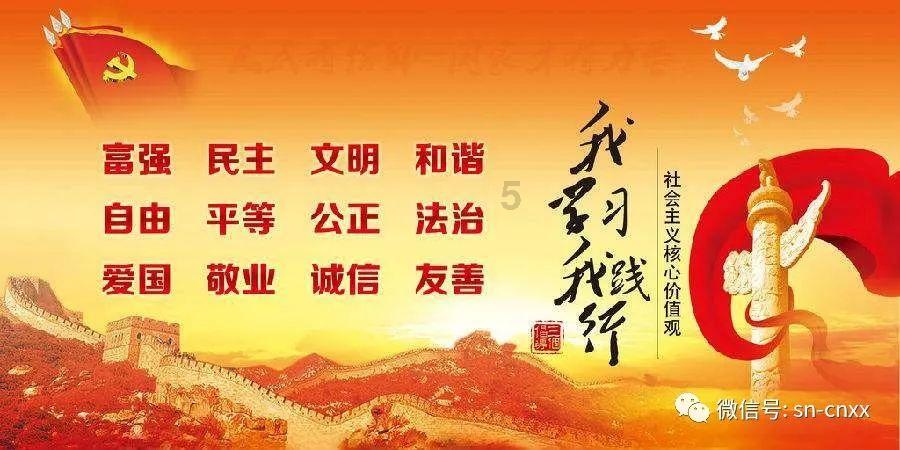 电动自行车需要驾照吗？游戏画面