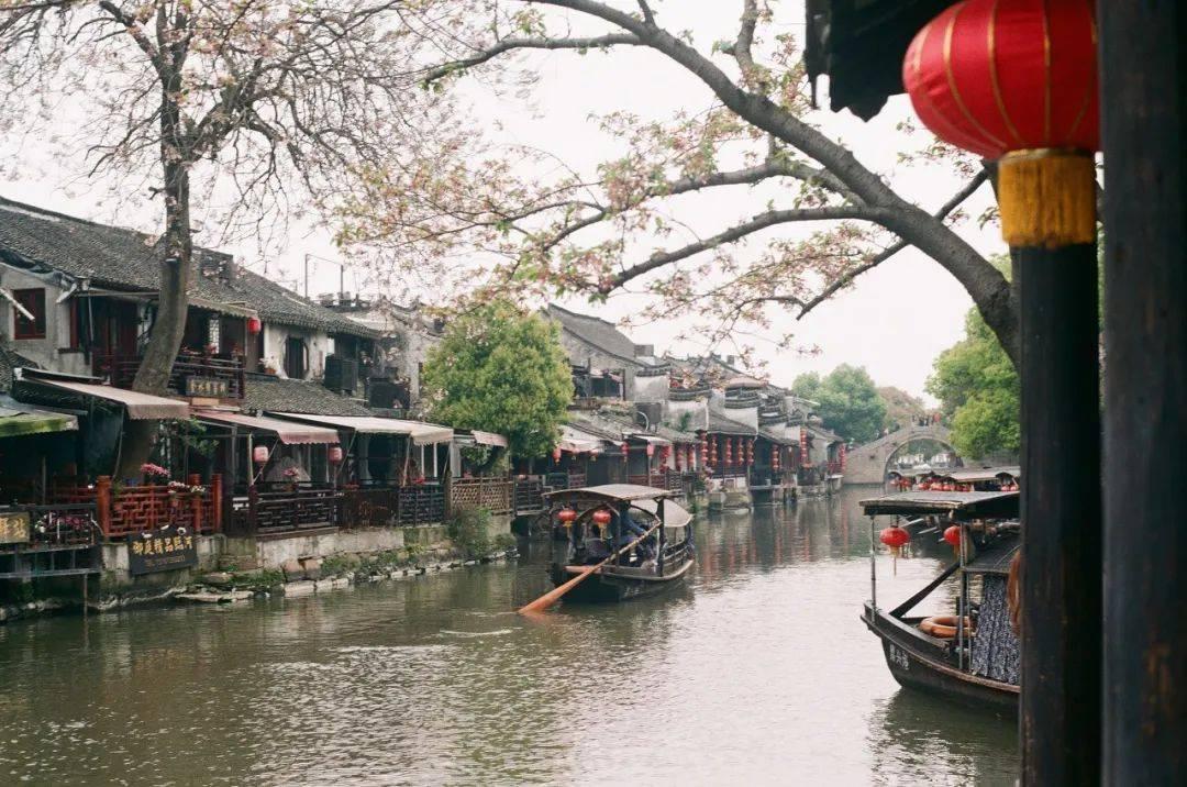 澳洲皮草